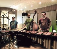 Contrasio Trio